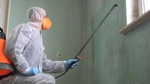 Reliable Pawtucket, RI Mold Removal & Remediation Solutions